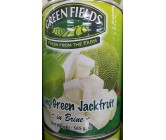 ICS Green Fields Jack Fruit green in Tin (Brine) 565g